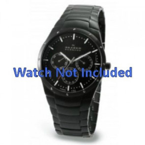 Correa de reloj Skagen 596XLTXB